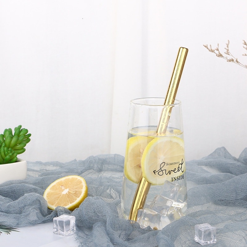 Stainless Steel Reusable Straw Set