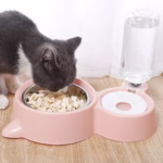 2-in-1 Automatic Pet Feeder